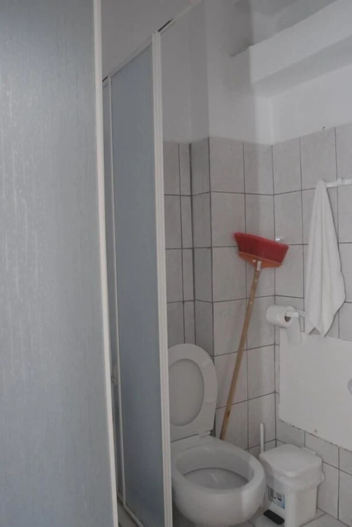 Amazona Apartments and Studios