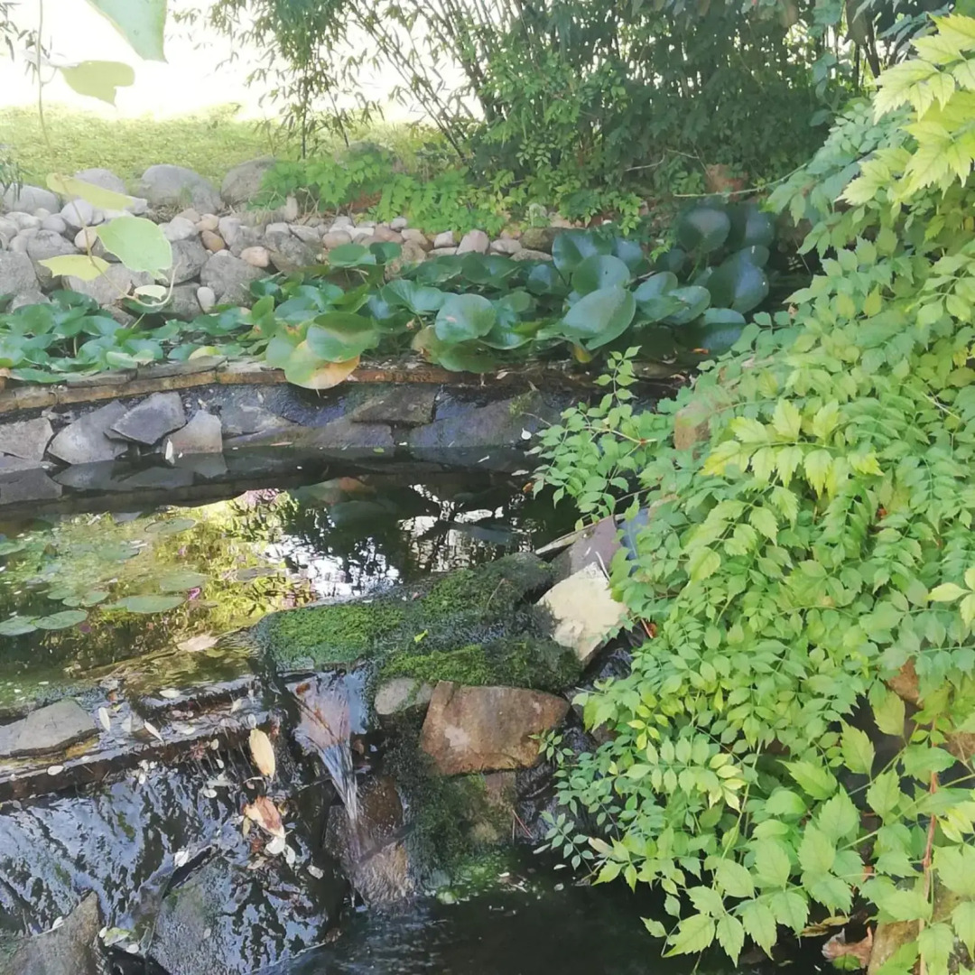 Rezident consult s.r.o.