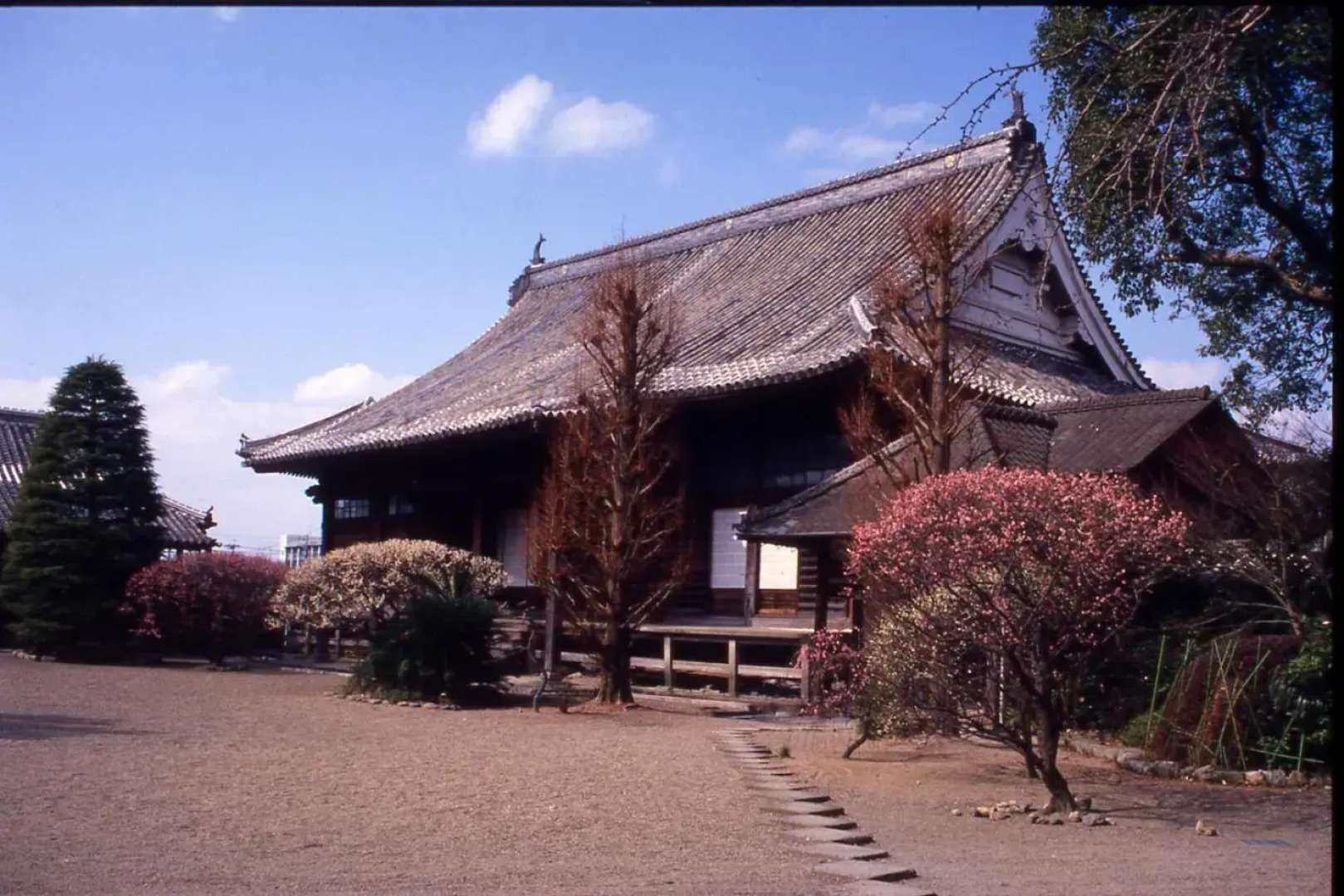 Yanagawa Hakuryu Soh