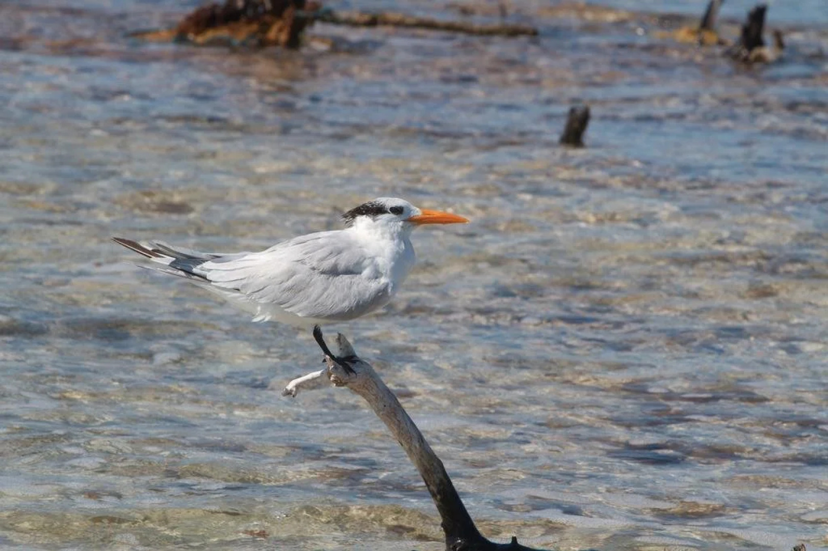 Guidos Boutique Hotel