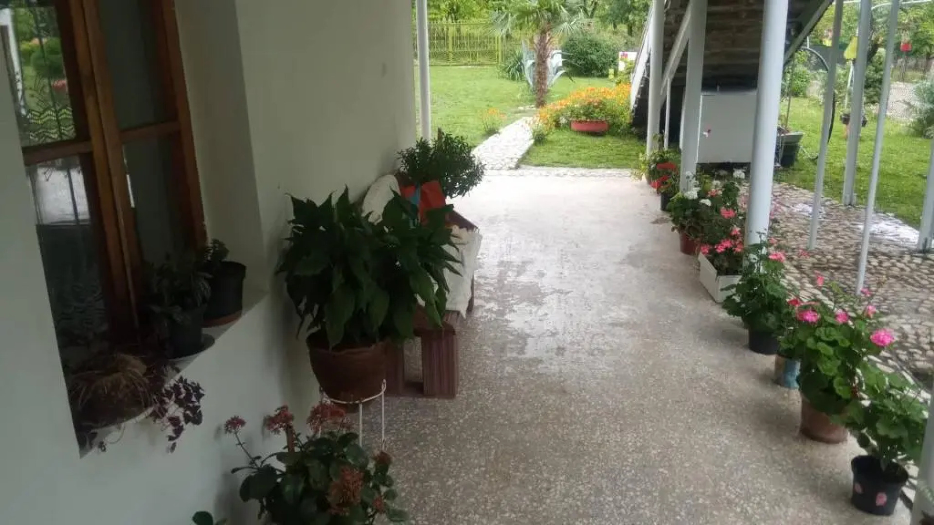 Guest House Nargo's garden