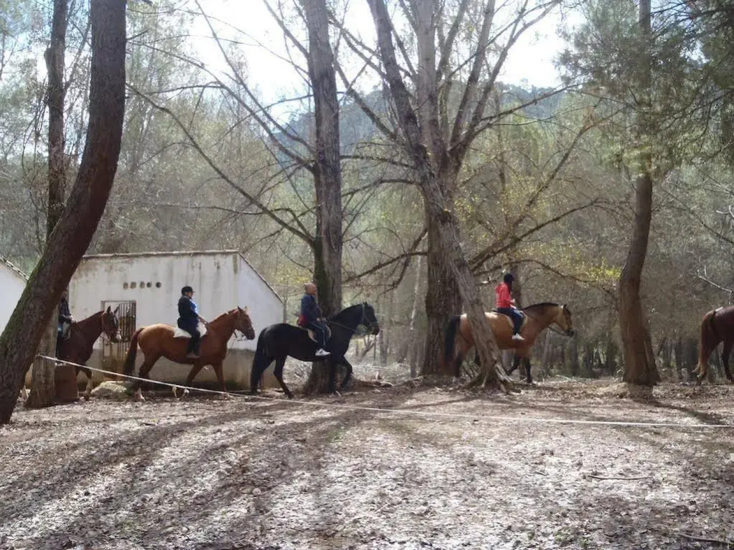 Complejo Residencial Los Enebros