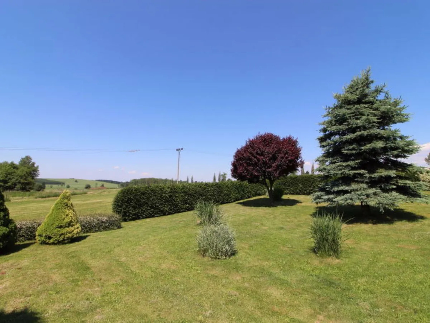 Rokytnice v Orlických horách