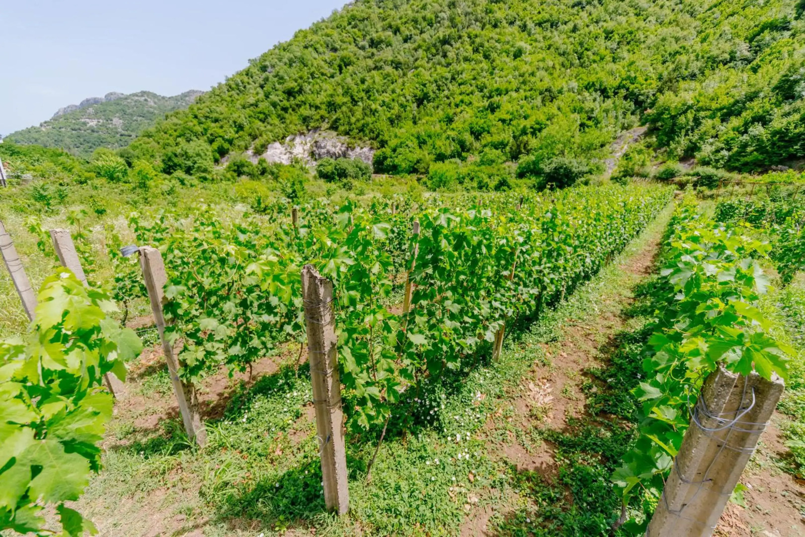 Rustic House Leković
