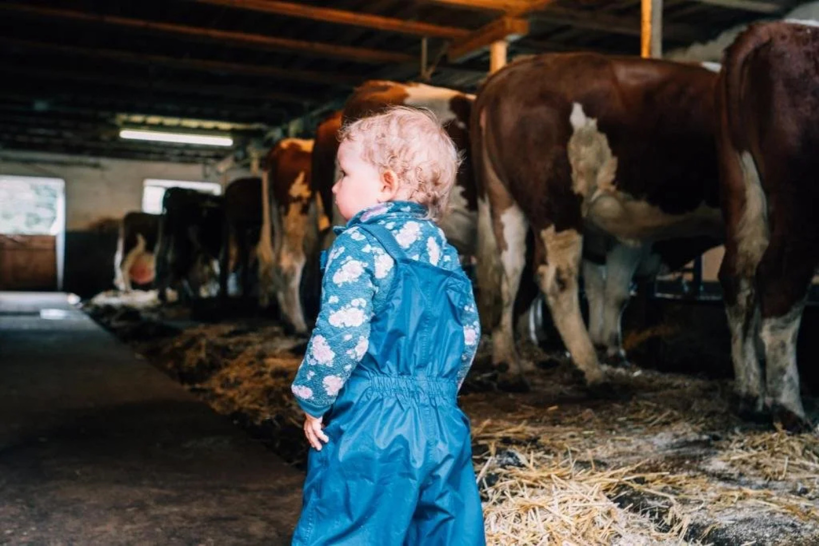 Ferien Bauernhof Maurachhof