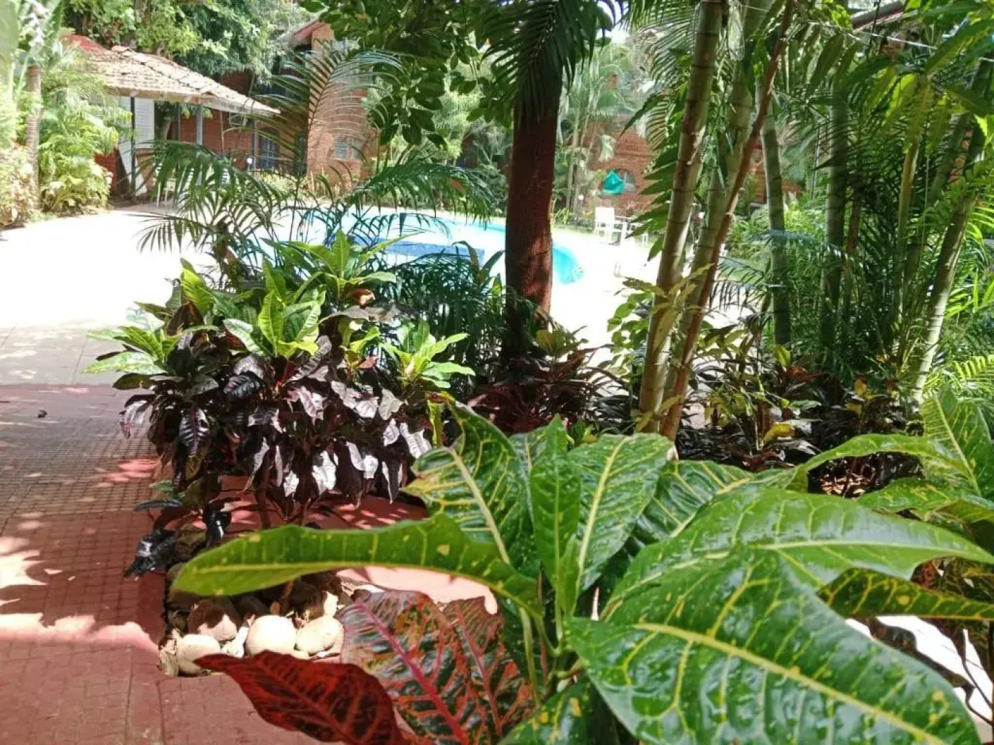 Sea Breeze Beach Resort Candolim