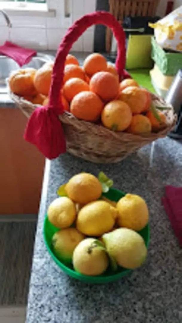 Casa com Piscina em Fátima, by Izibookings