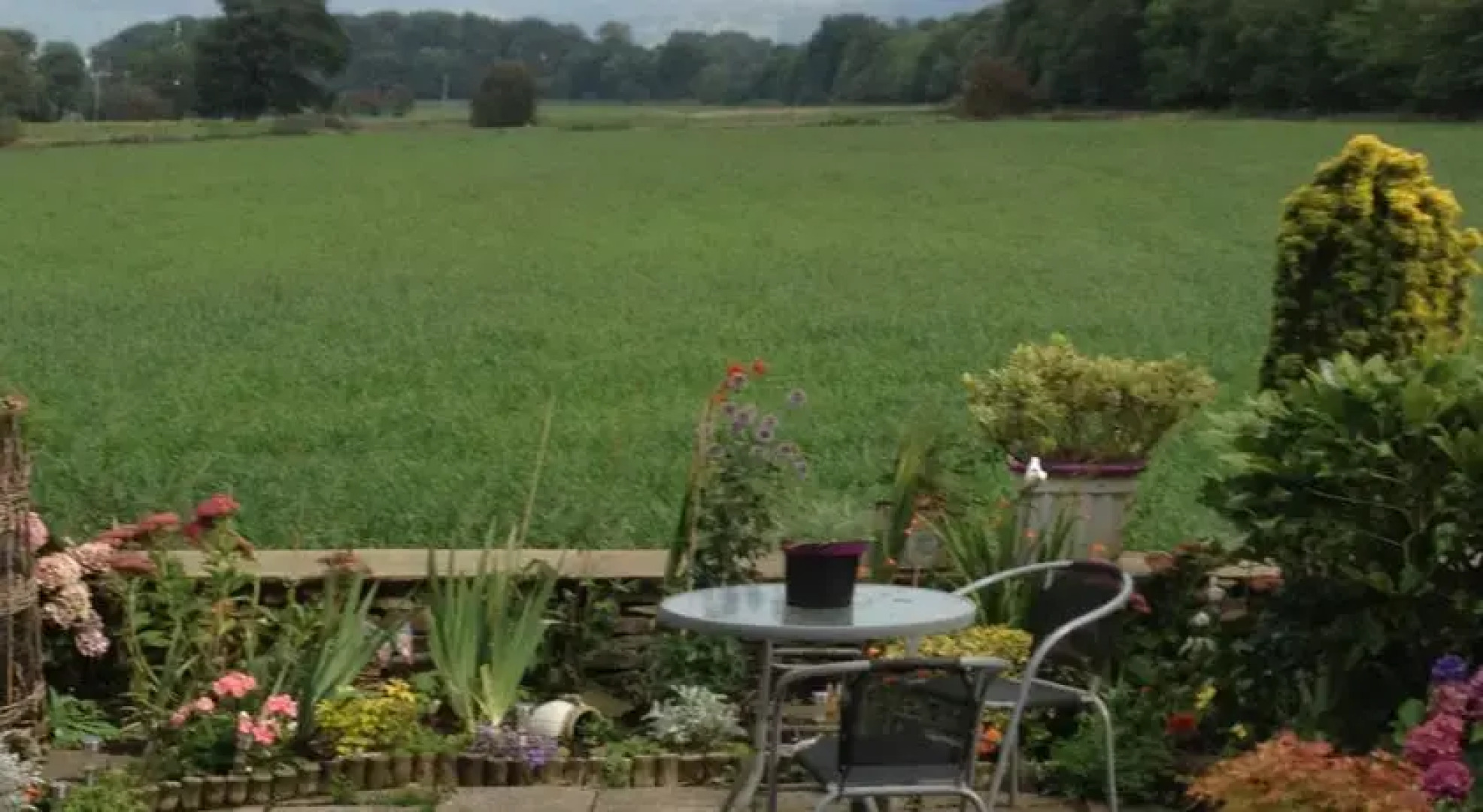 Field View House B&B