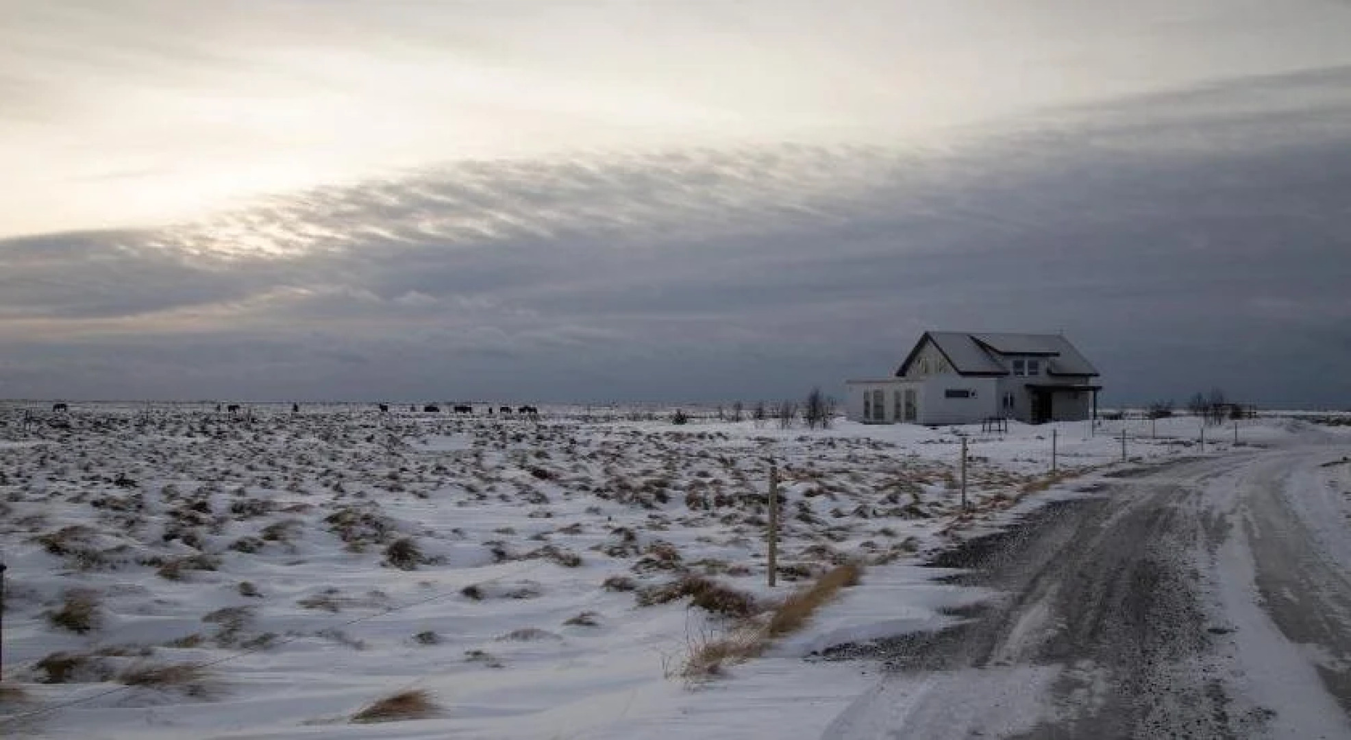 Mýri - Stay for a tree