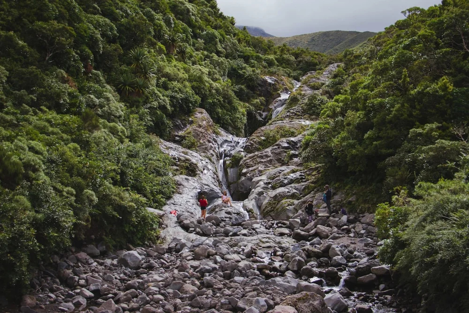 Dawson Falls Mountain Lodge
