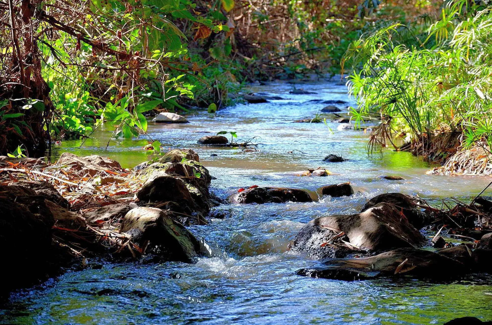 Green Hills of Africa