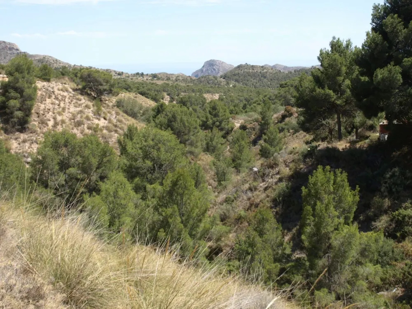 Rural Villa on the Costa Blanca