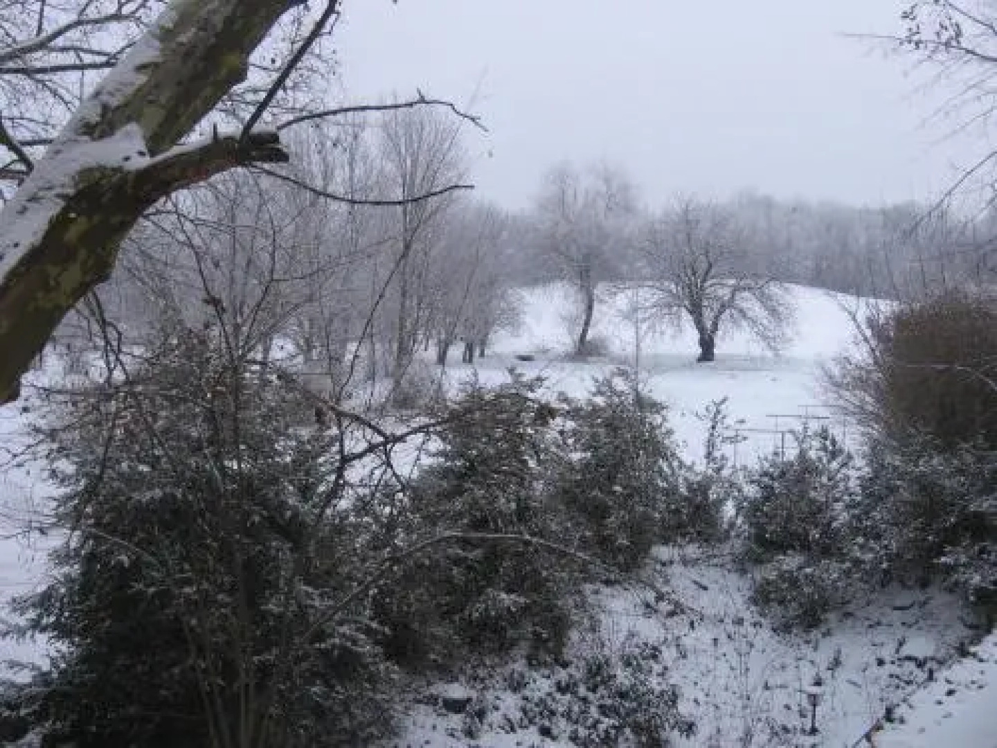 Mater Salvatoris House