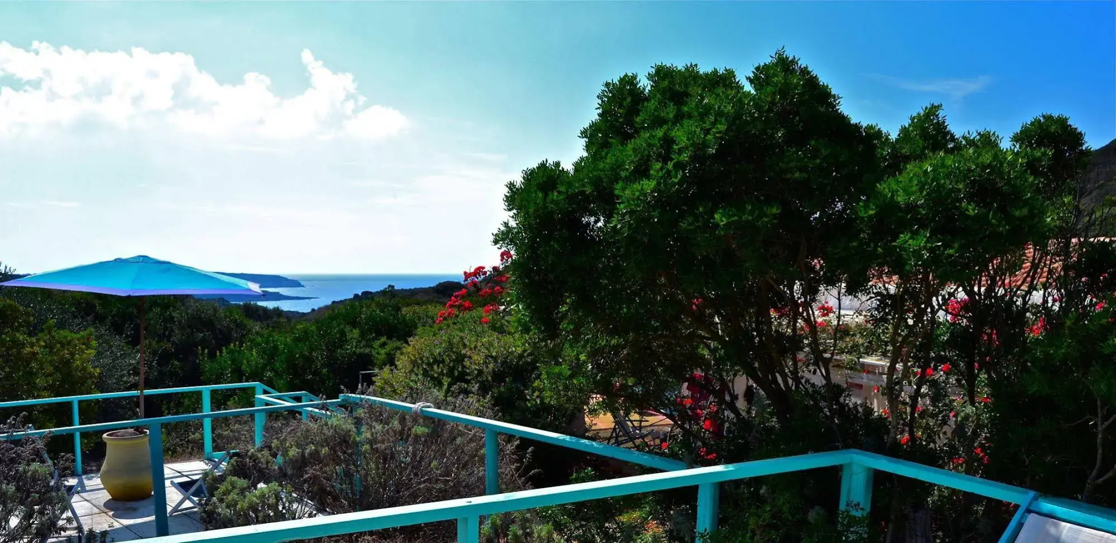 Poecylia Resort