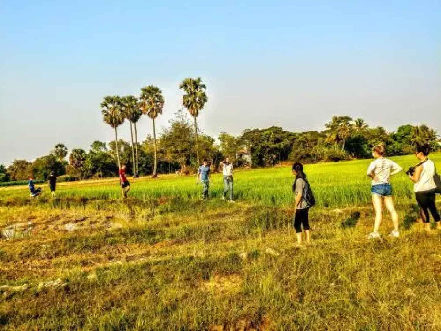 Bamboo Real Homestay