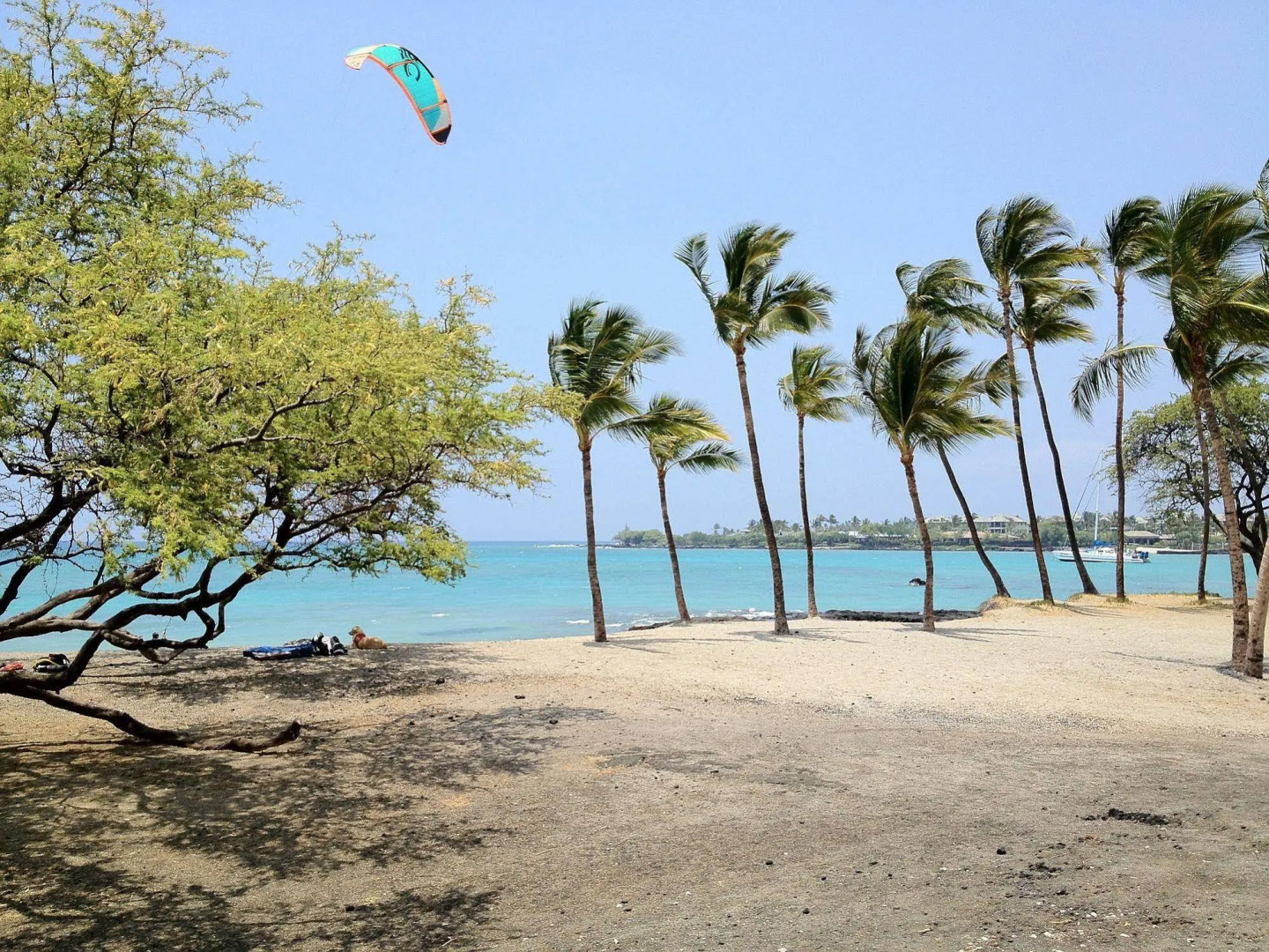 Lava Lava Beach Club