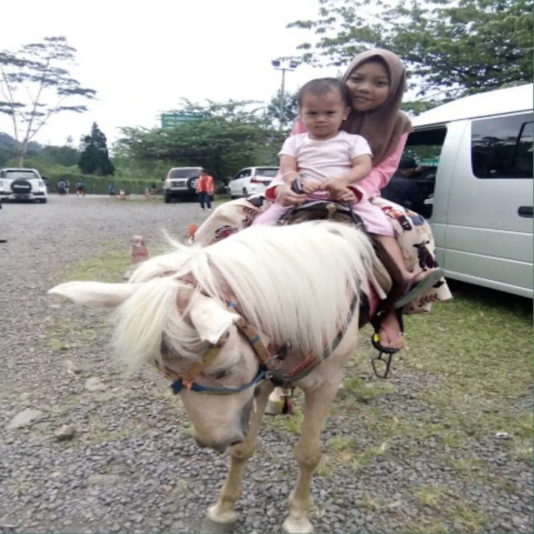 Villa Sasky Ciater Highland