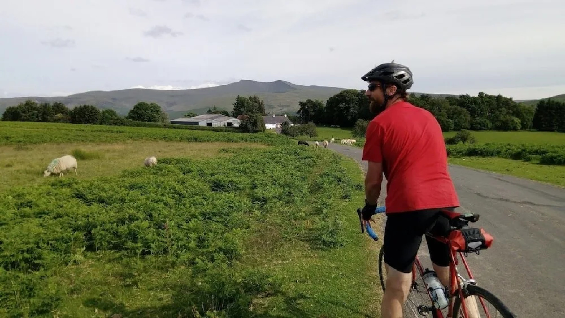 Bridge Cafe Bed and Breakfast