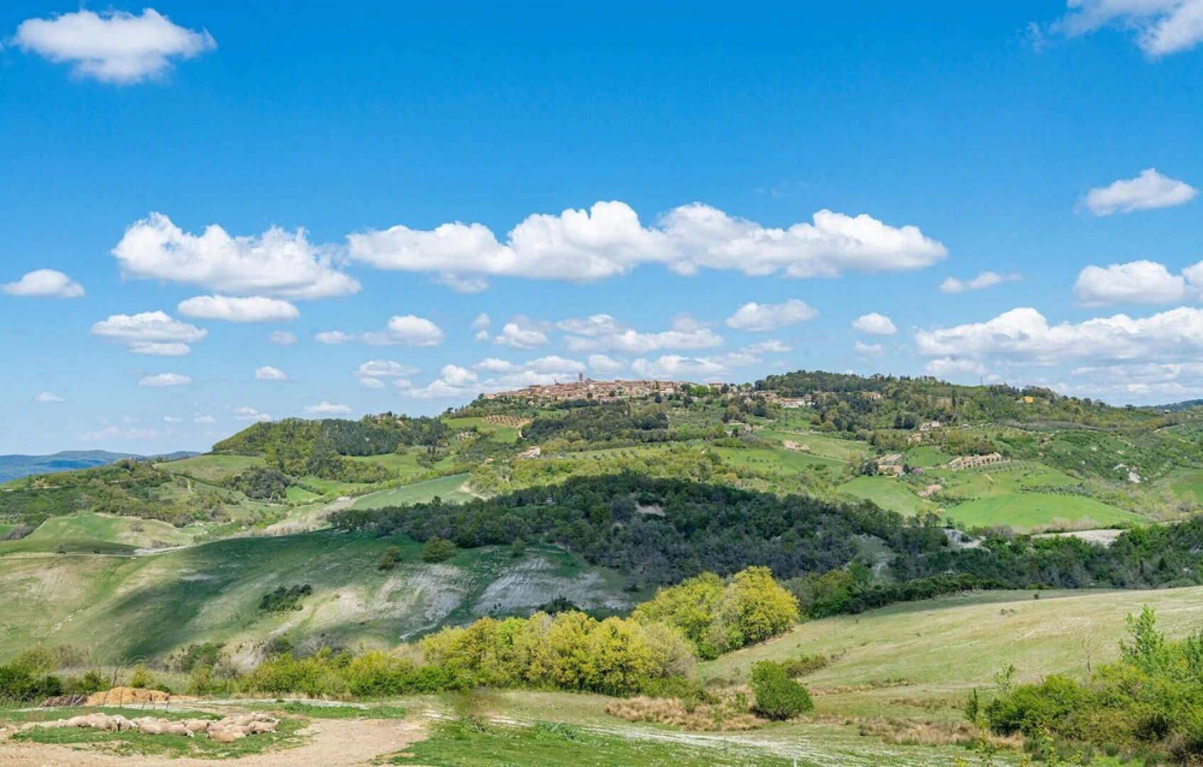 Awesome Apartment in Radicondoli Belforte 53030 With Outdoor Swimming Pool, Wifi and 2 Bedrooms