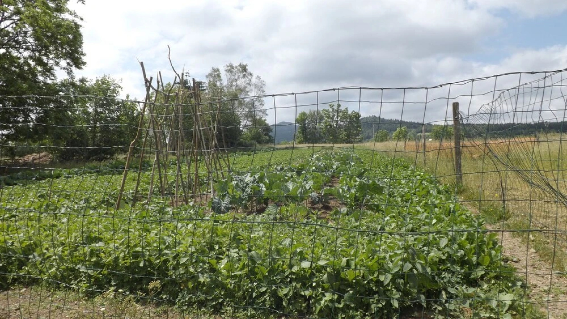 Chambre et table d’hôtes Le Fougal