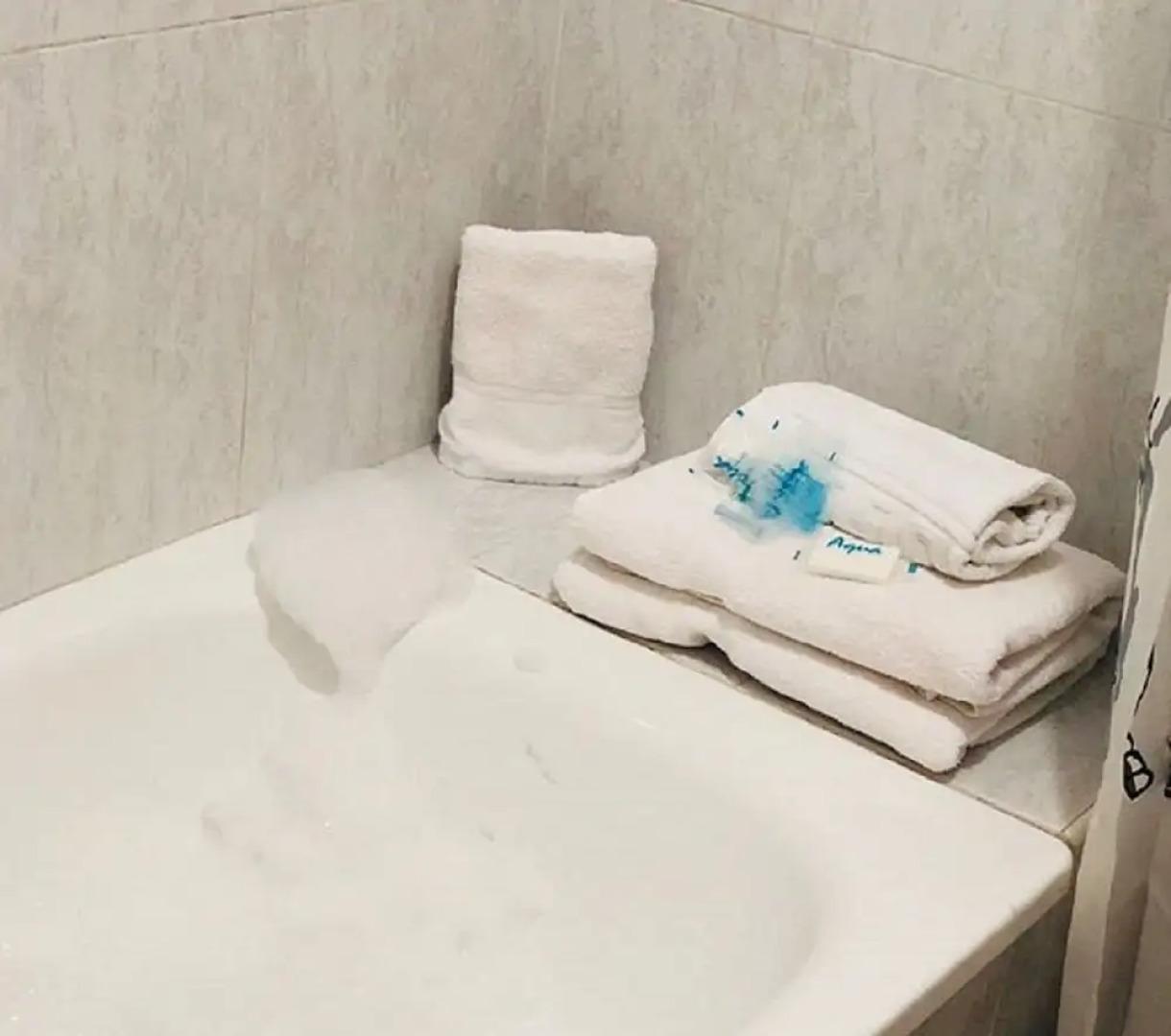 Penthouse las Flores