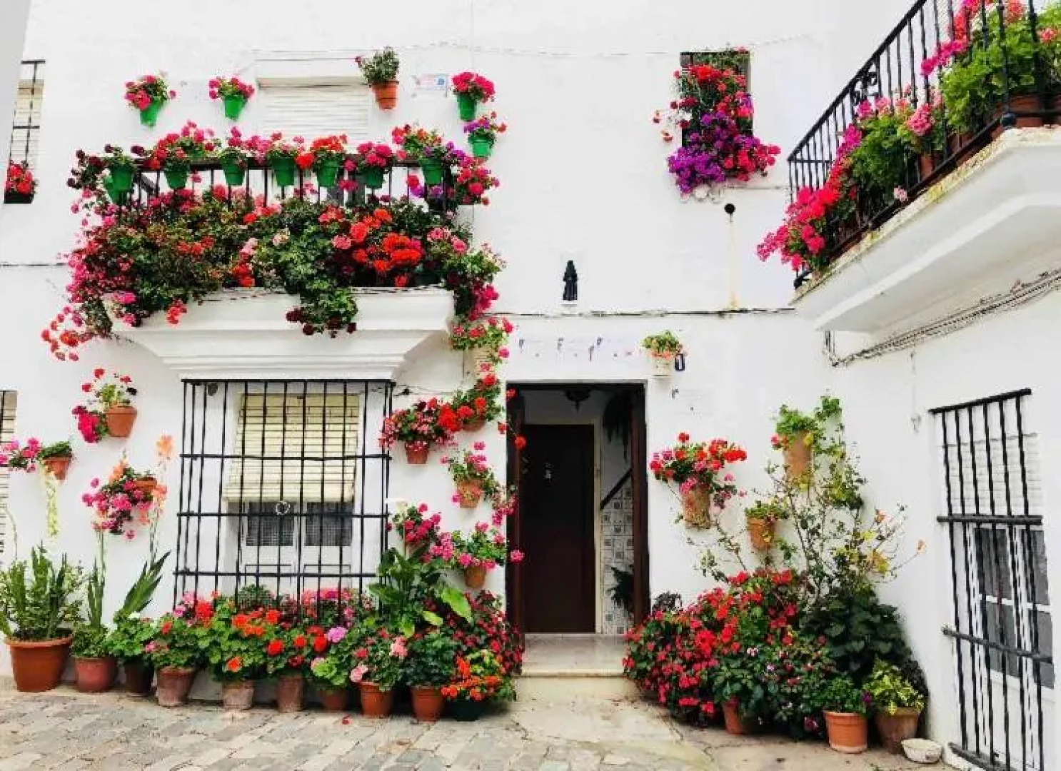 Beautiful studio in Vejer