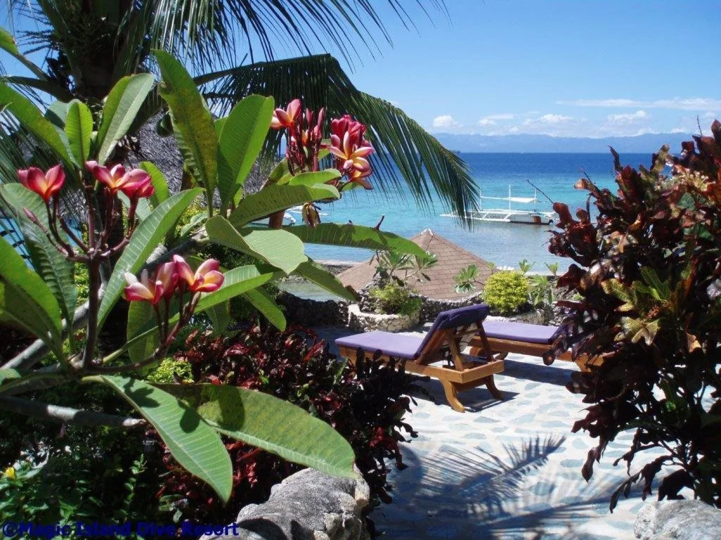 Magic Island Dive Resort