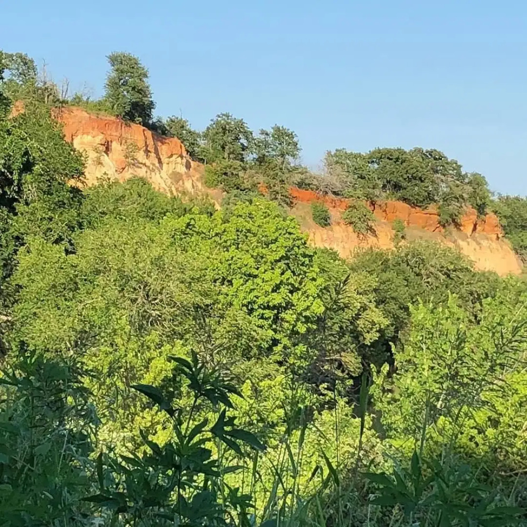 Beautiful Scenery, Towering Pines, Rolling Hills, and the Colorado River