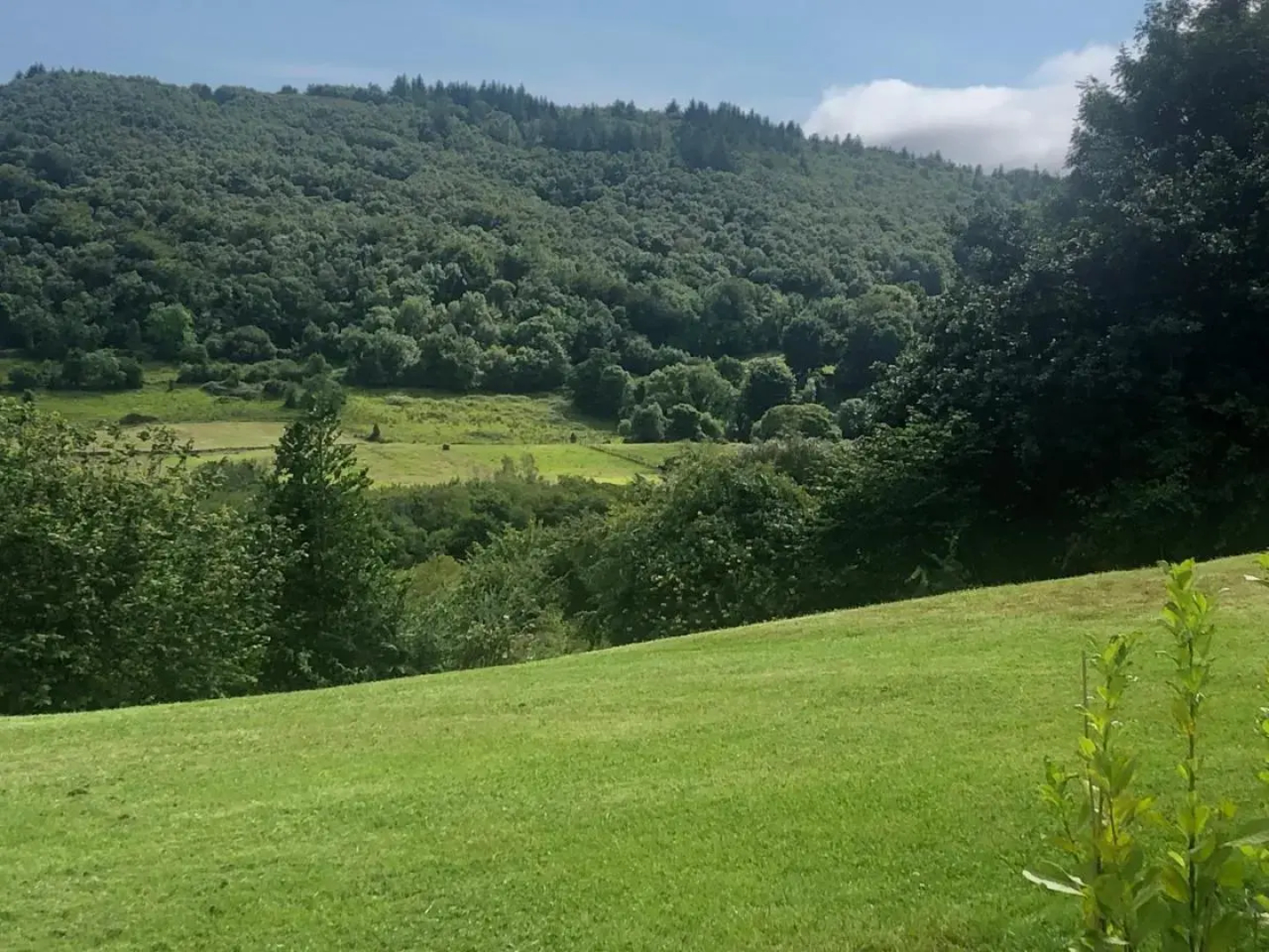 Oak Tree Lodge