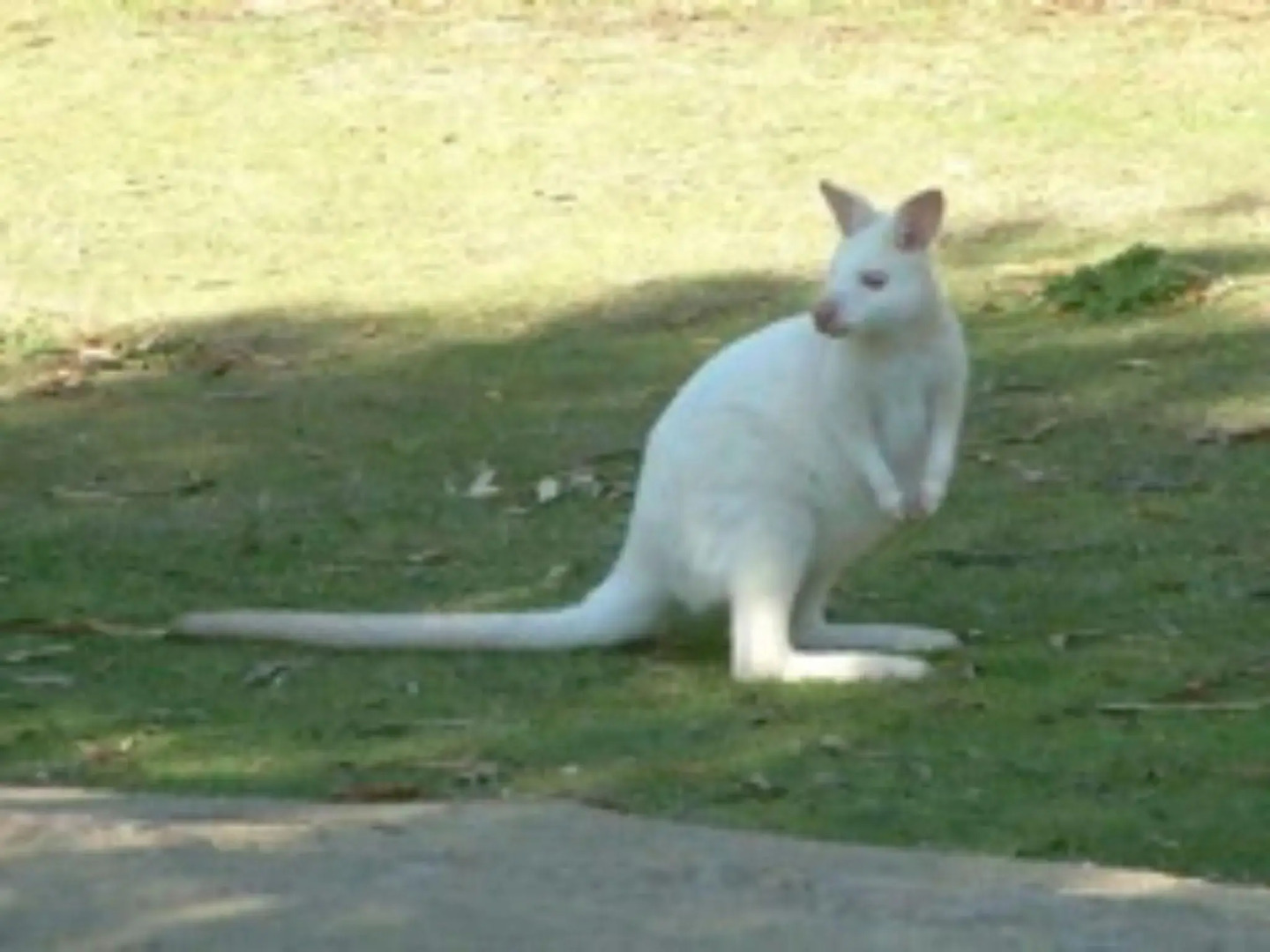 Bruny Island Holiday Units