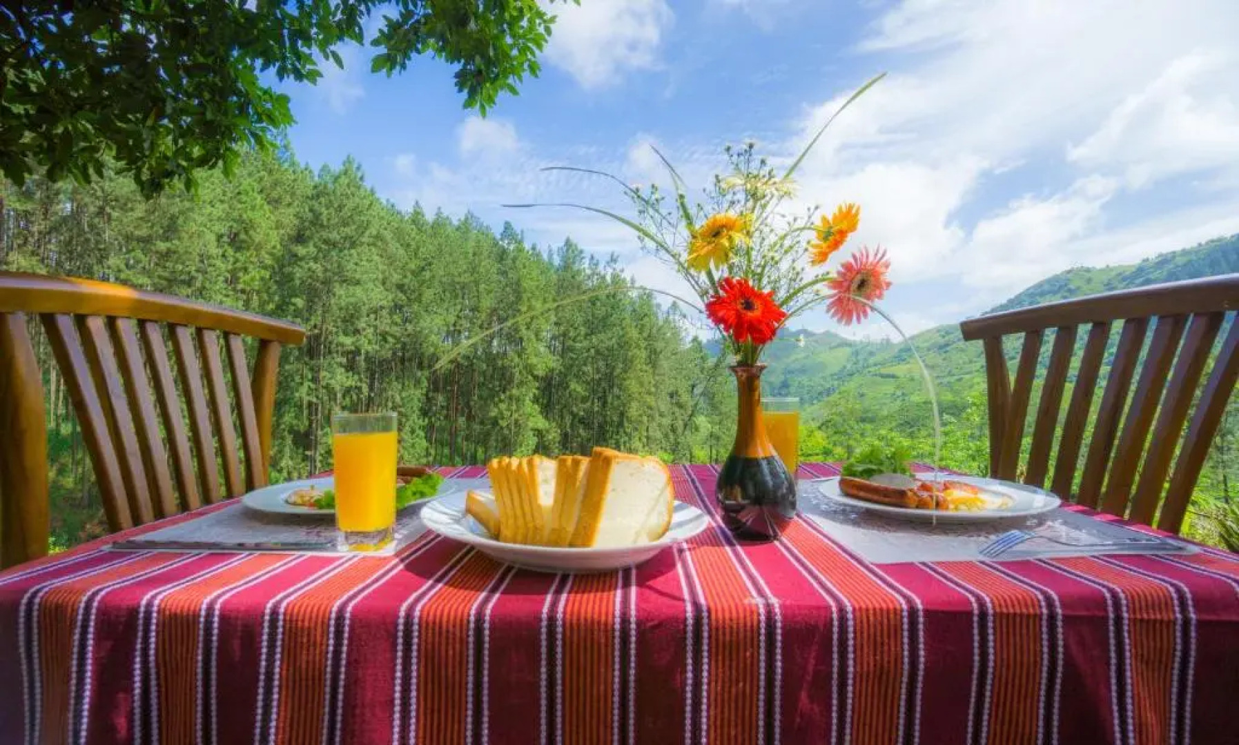 Greendale Holiday Bungalow