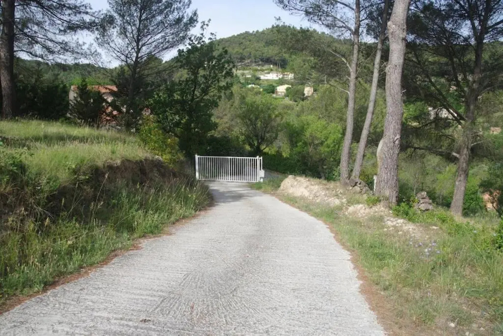 L'eden Sous L'olivier