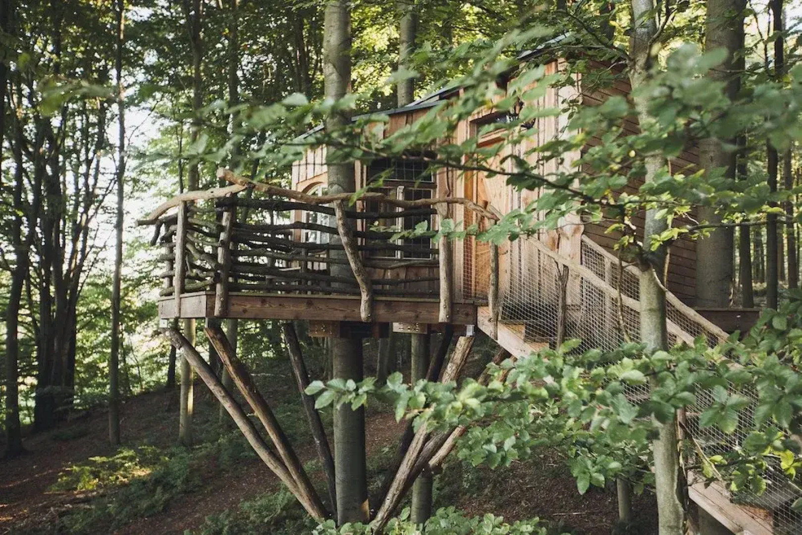 Robins Nest Baumhaushotel