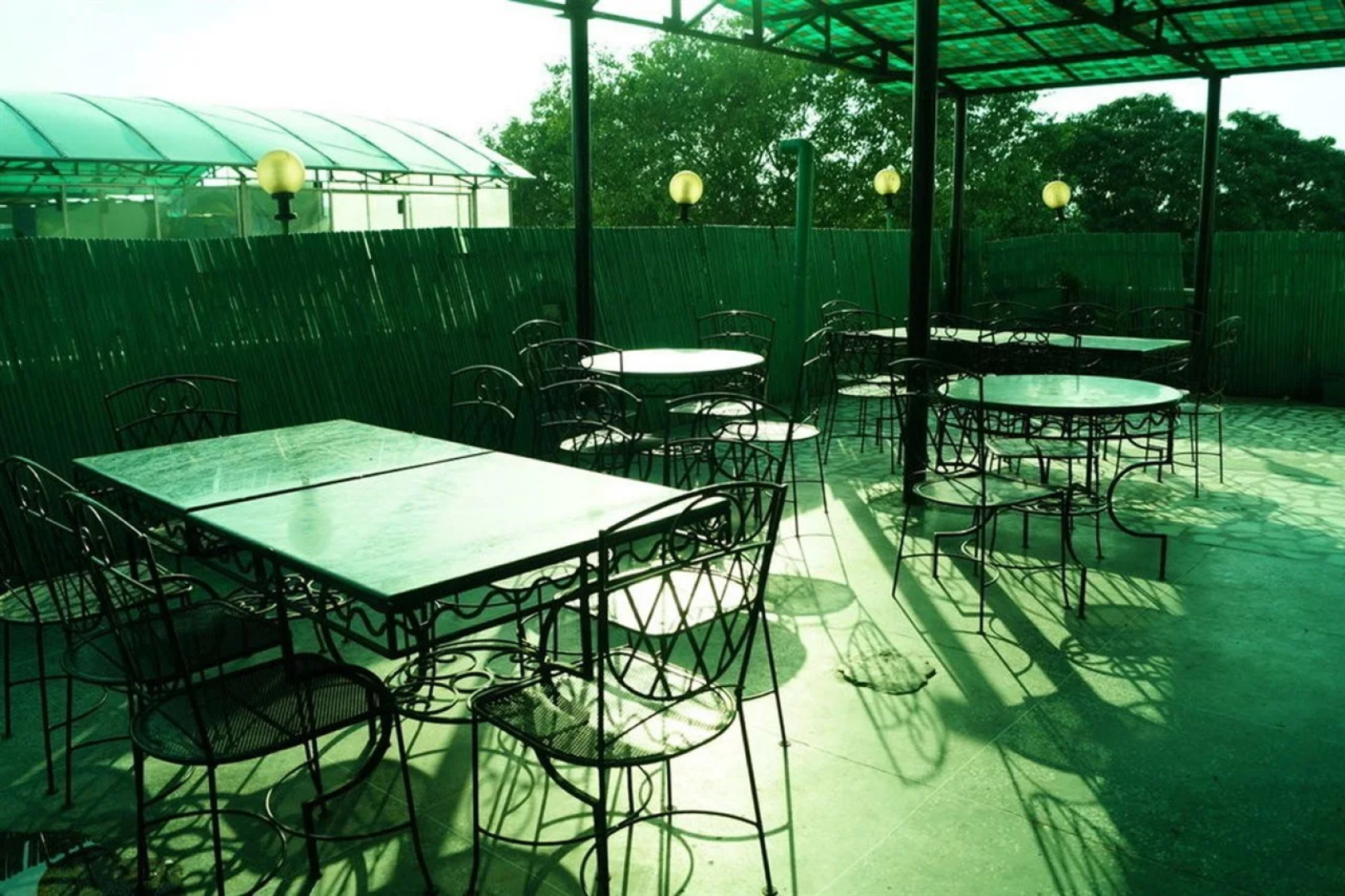 Treebo Paras International