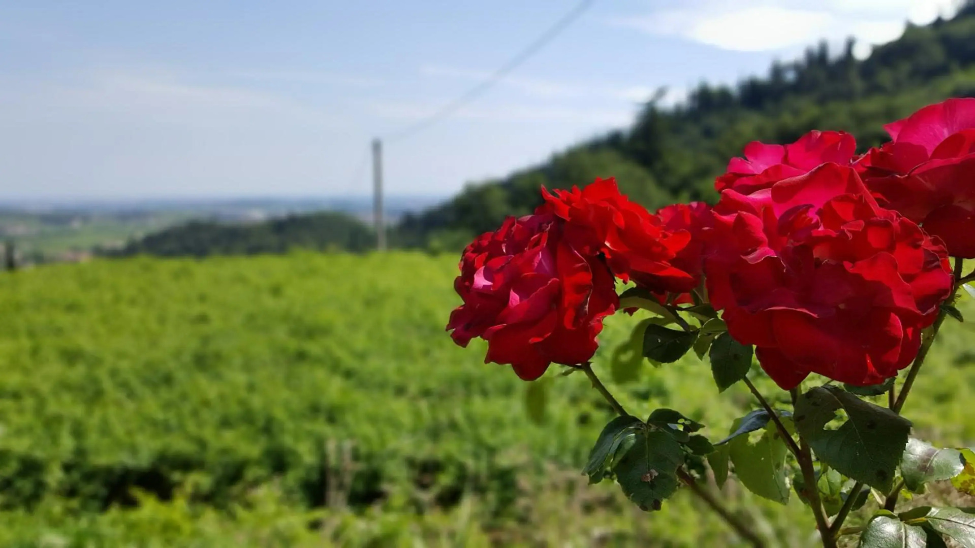 La casetta di Chiara