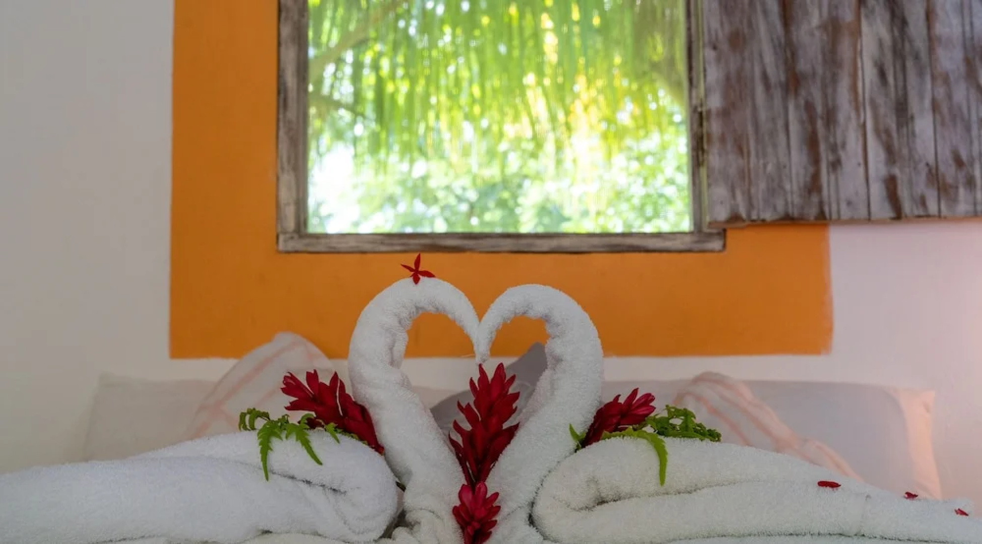 Las Dunas Surf Resort - Hostel