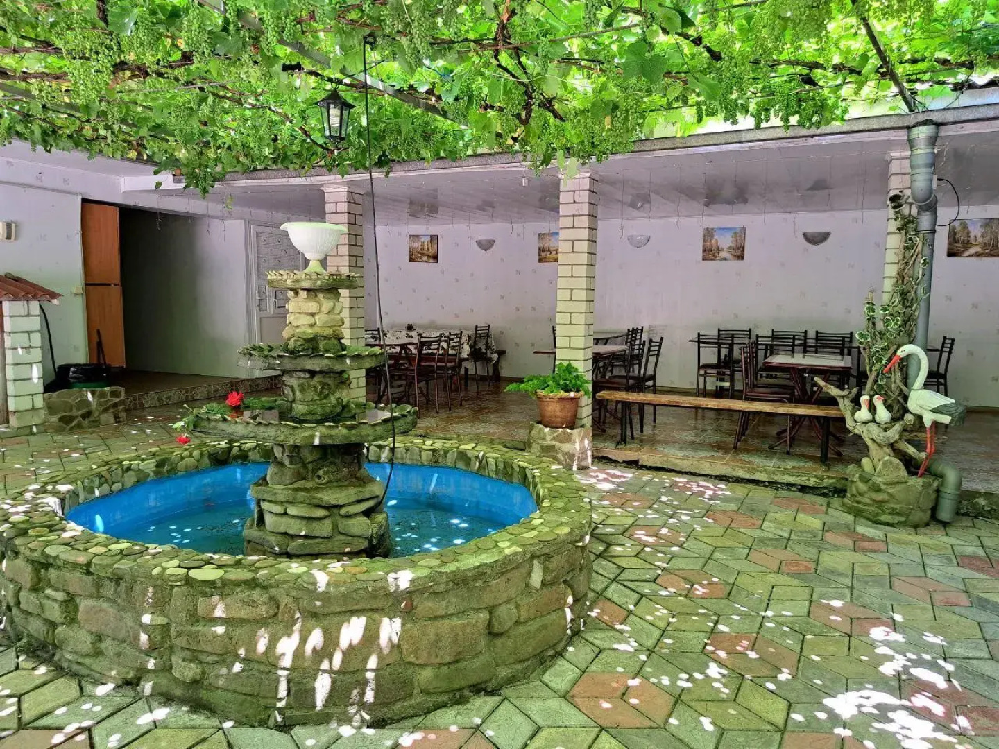 Черноморская лоза