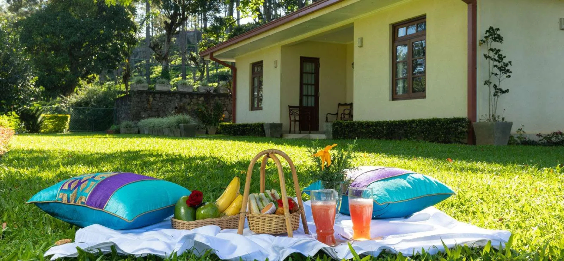 Olive Bungalow