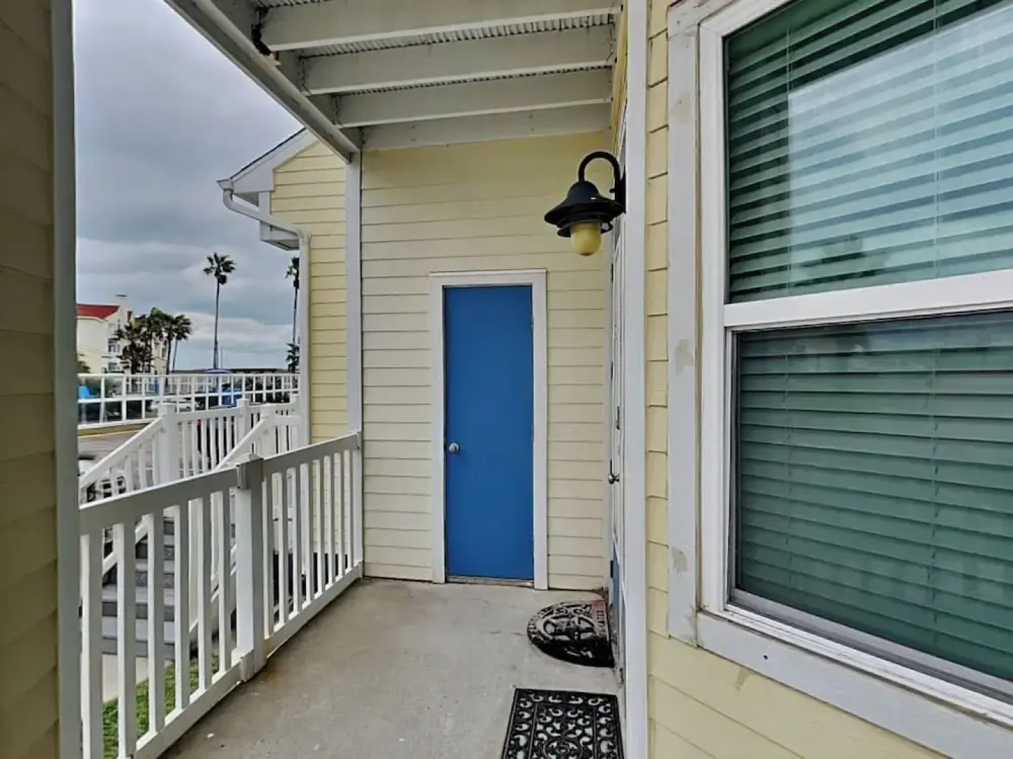 Npi146-the Lazy Turtle