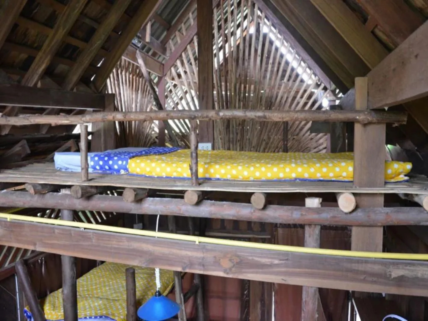 UP2U Guesthouse - Hostel