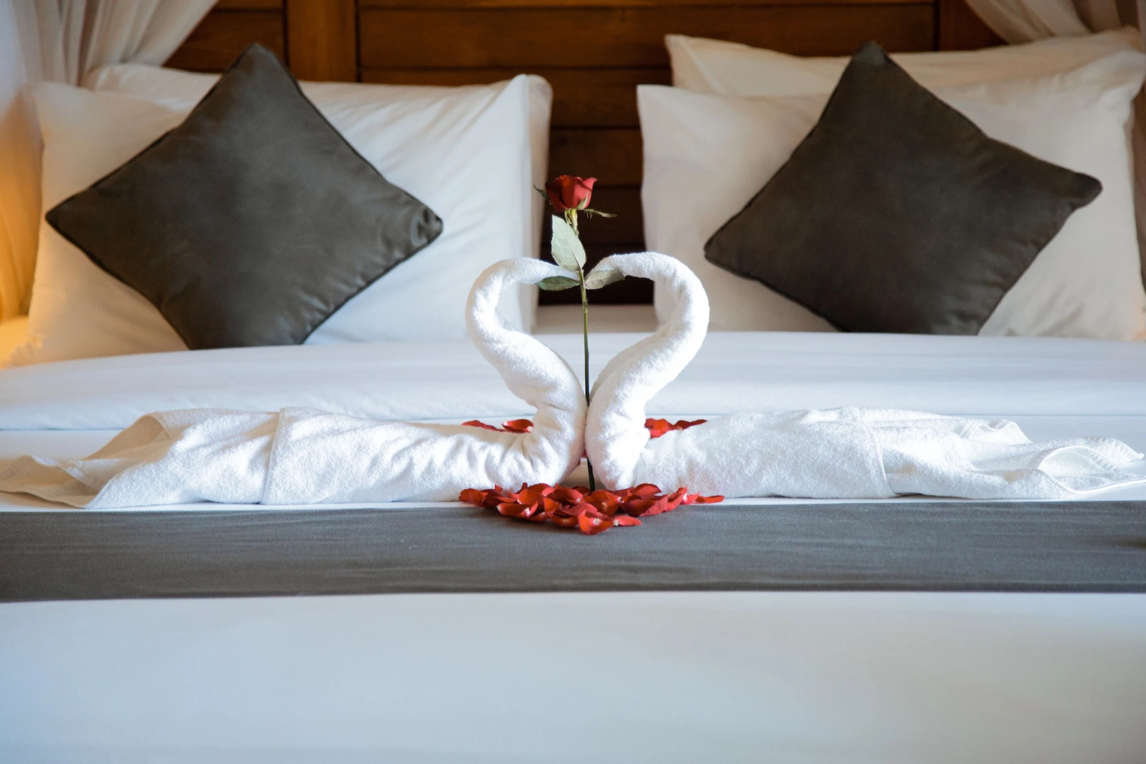 Collection O 90805 Aditya Beach Resort And Spa