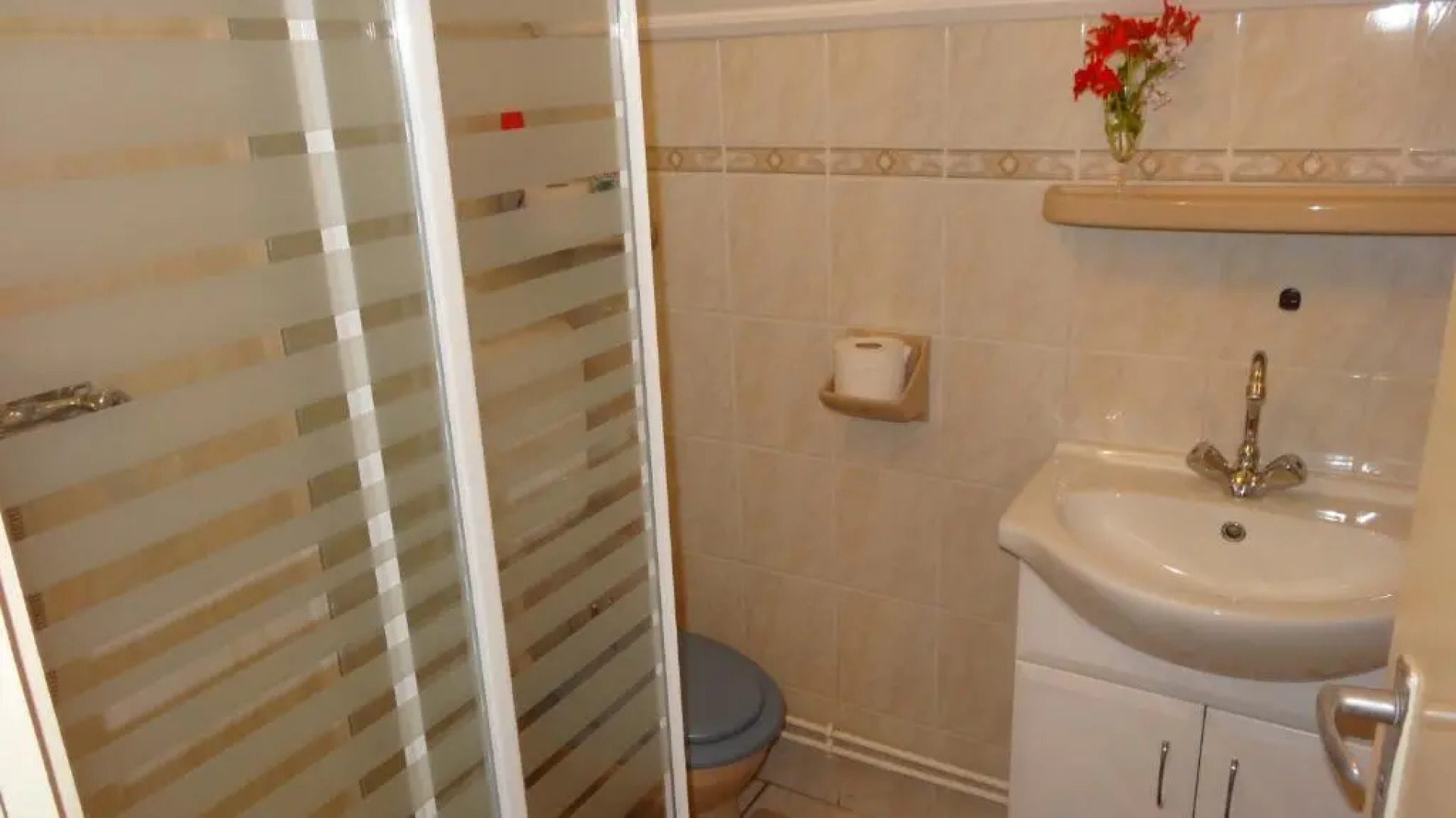 Attila apartman Harkány