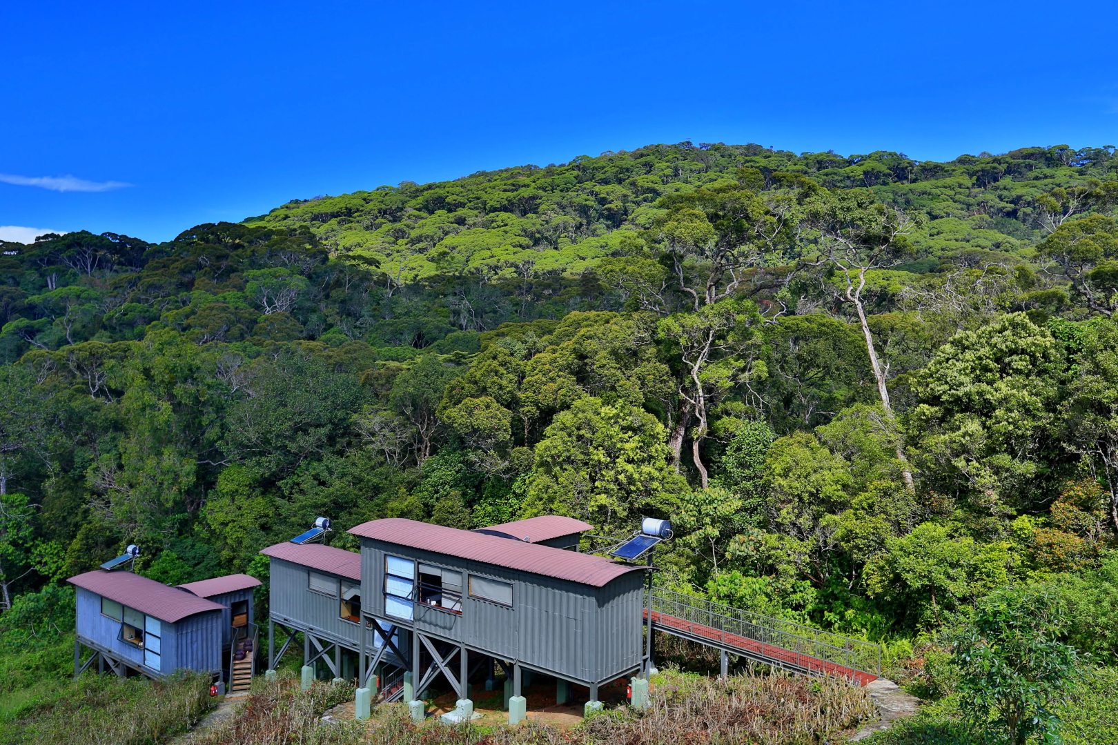 The Rainforest Ecolodge