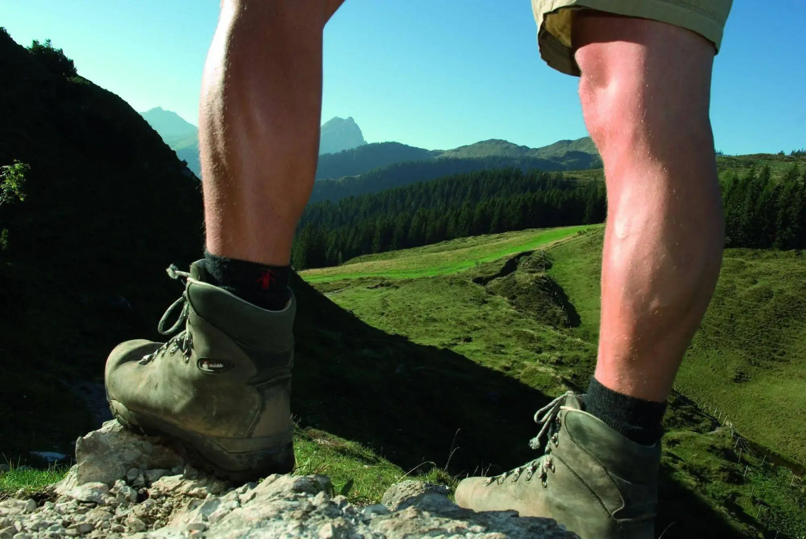 Hotel Willms am Gaisberg