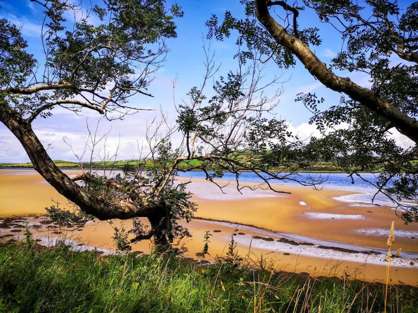 The Snuggly Sheep Shepherd Hut Campview Farm Stay