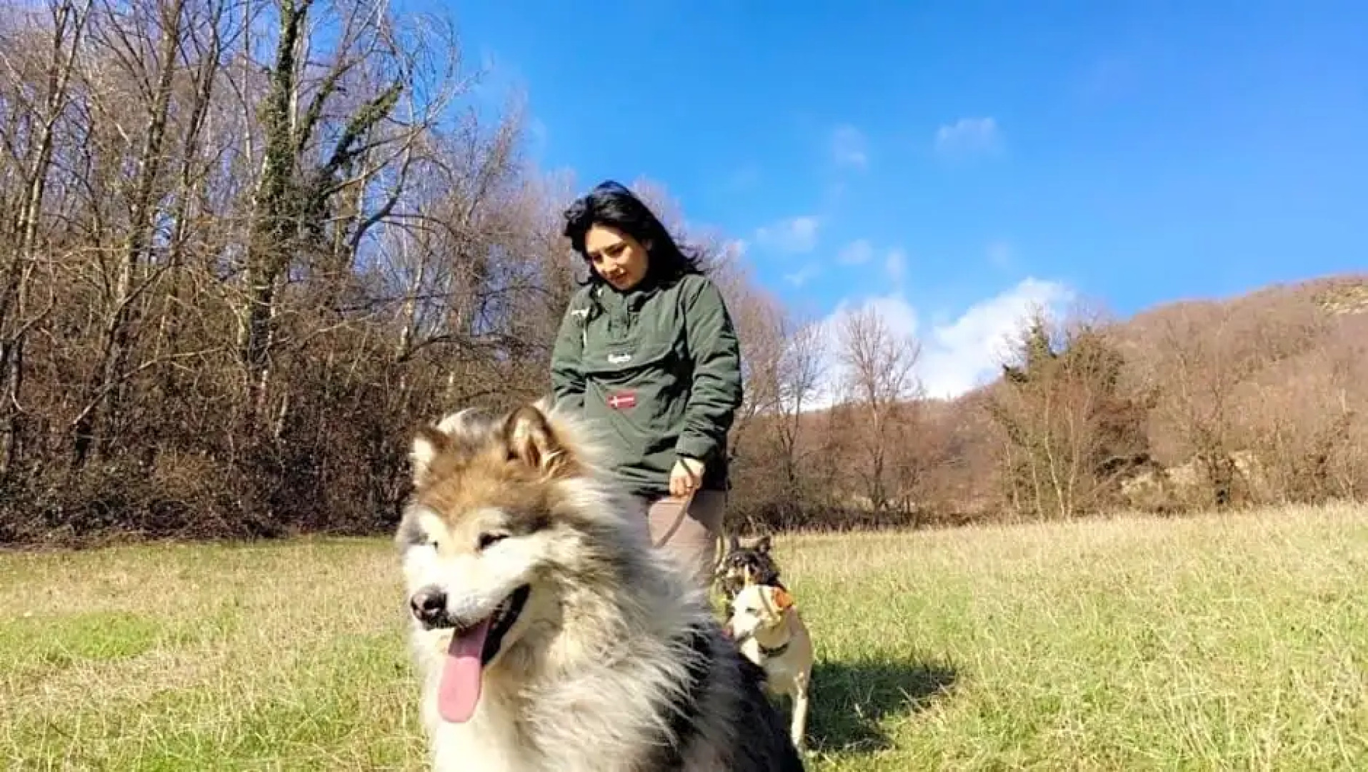 Agriturismo Biologico Castello Della Pieve