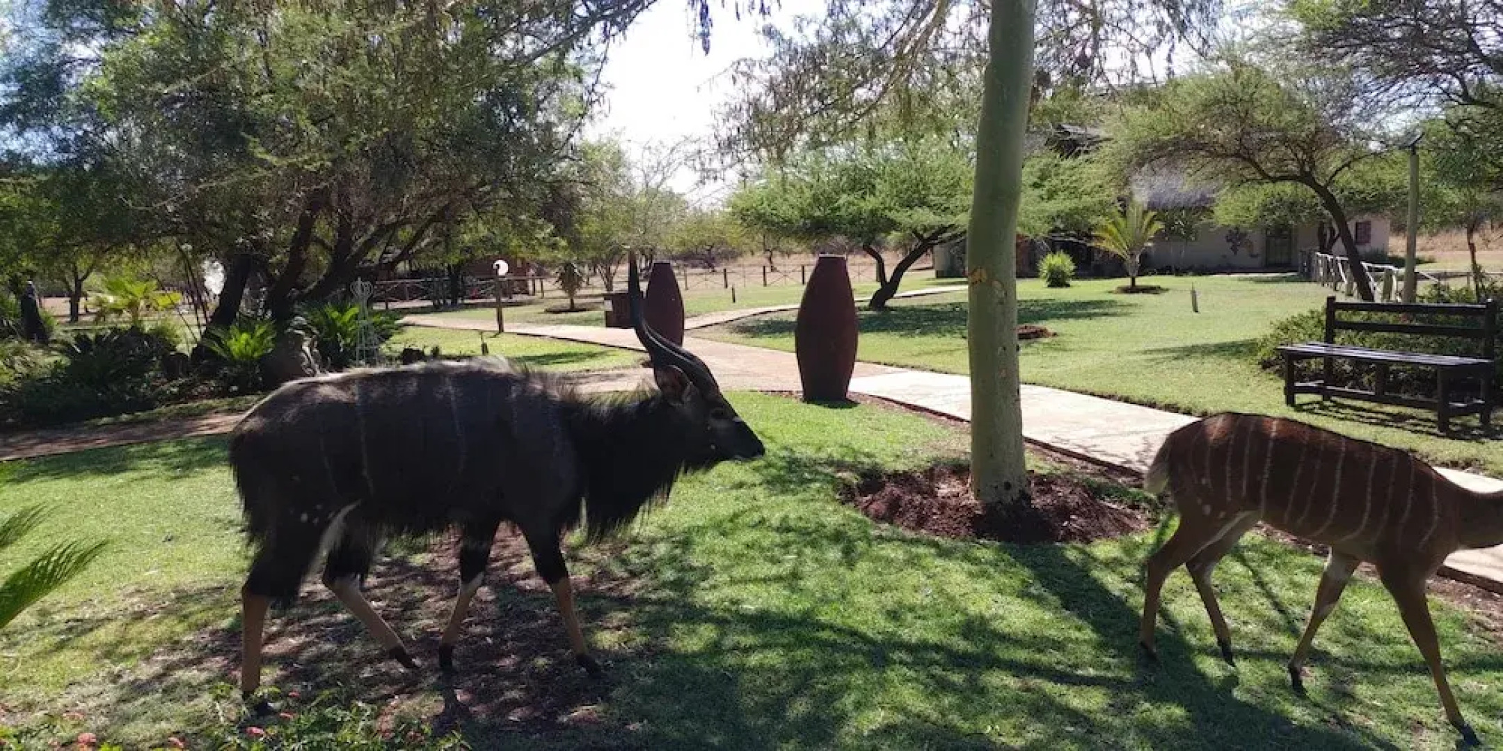 Mangwa Valley Game Lodge & Spa