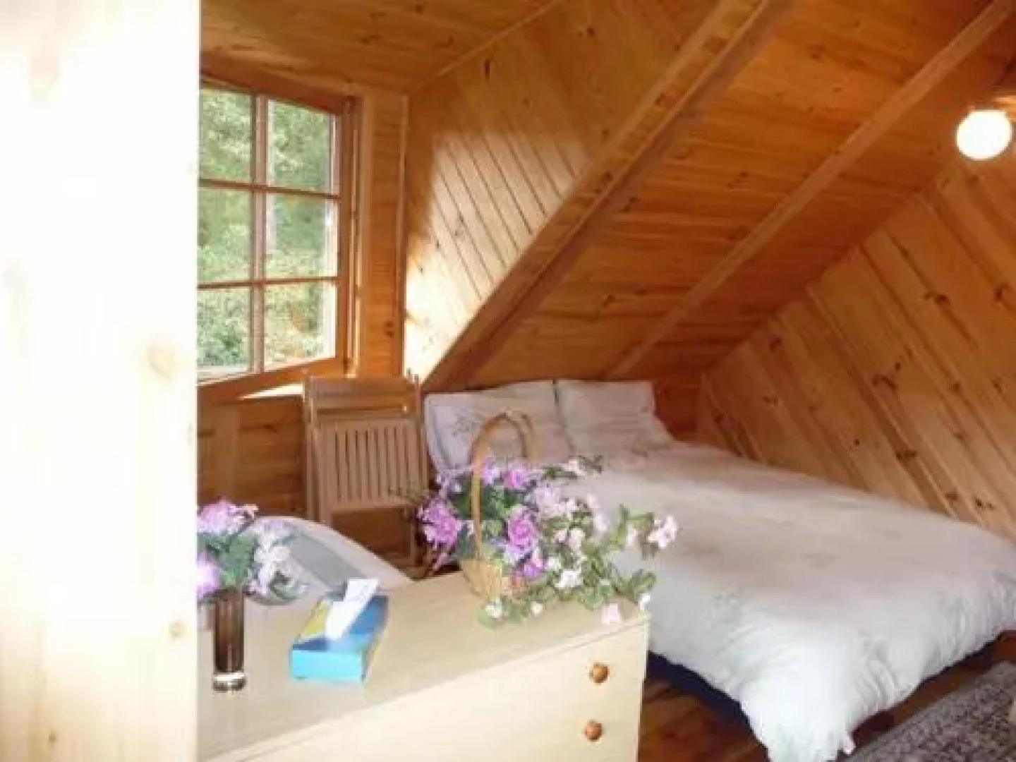 Anglo-Polish Holidays