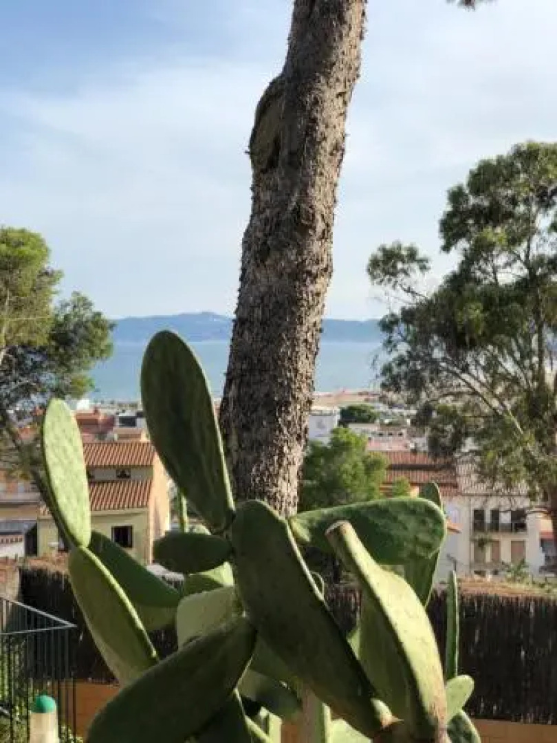 Apartamento Islas Medas