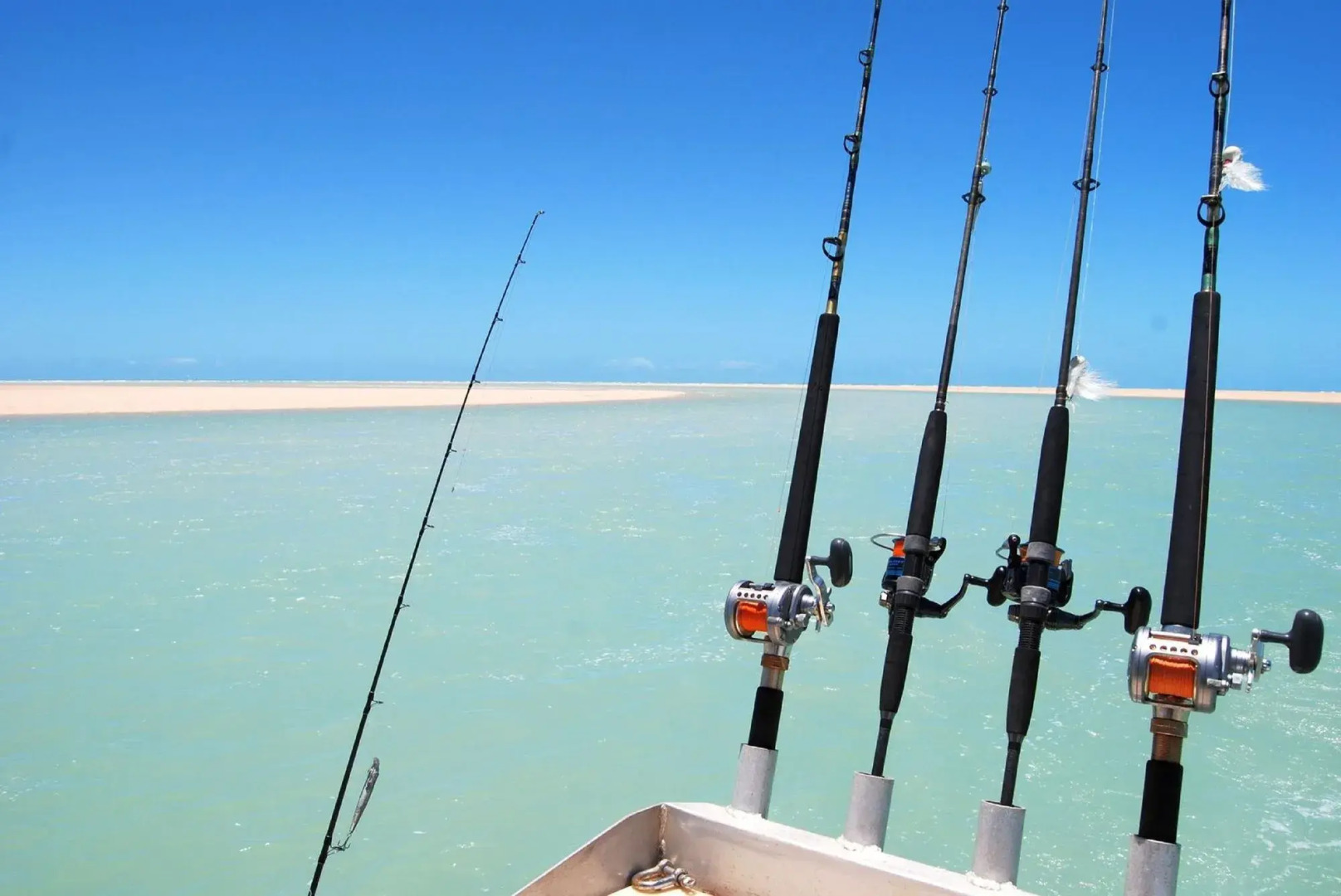 Eco Beach Wilderness Retreat